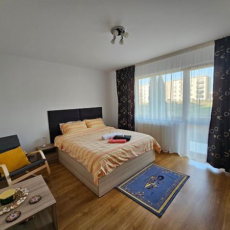 Elena'S Studio Brasov Coresi Eksteriør billede