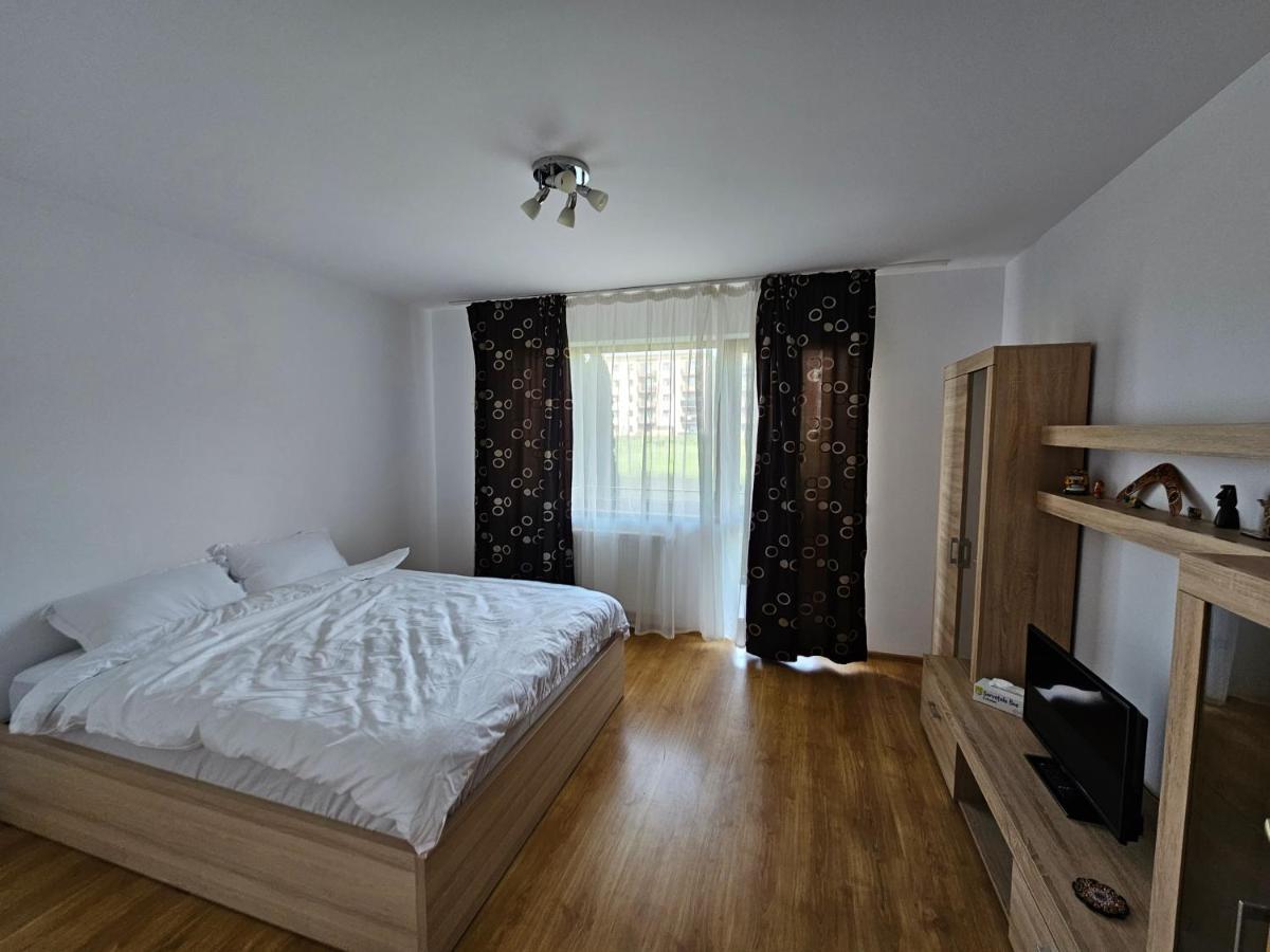 Elena'S Studio Brasov Coresi Eksteriør billede